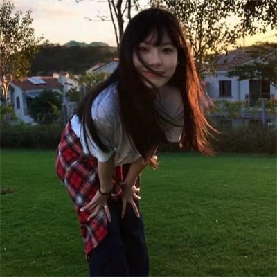 哈莱姆的郁金香