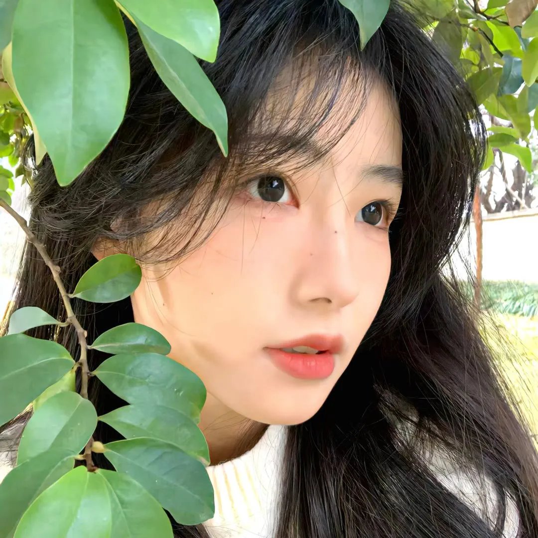 只有我不在的街道